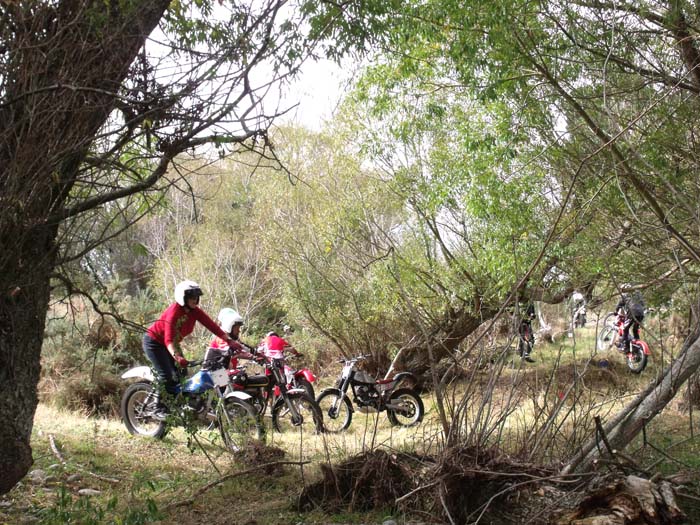 North Loburn Classic Trial